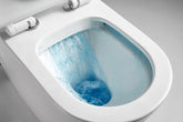 CURVY RIMLESS CLEANFLUSHING BTW TOILET SUITE